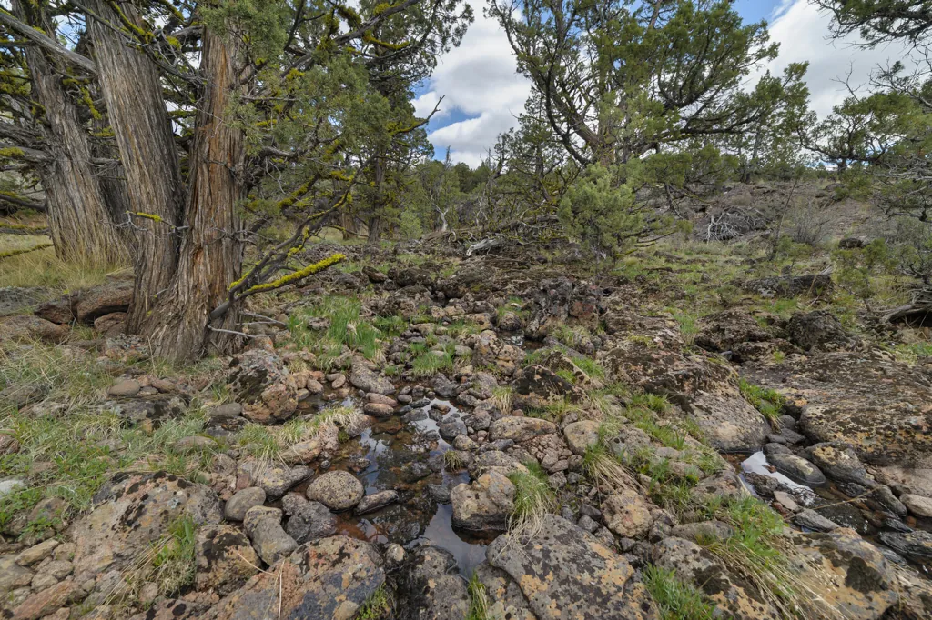 Camel Falls creek