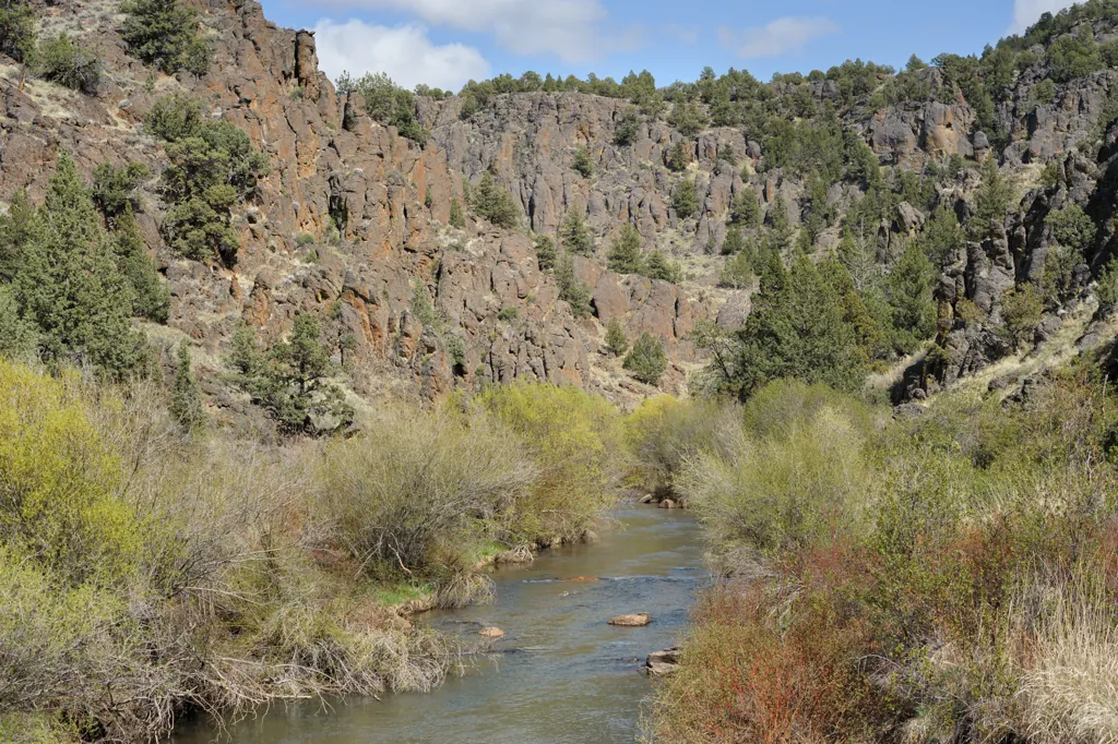 West Fork of the Owyhee