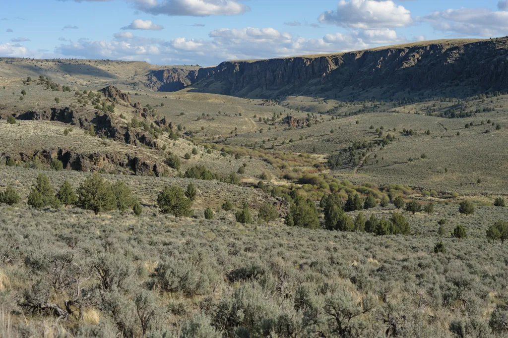 Three Forks area