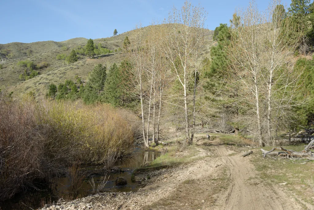Trail 402