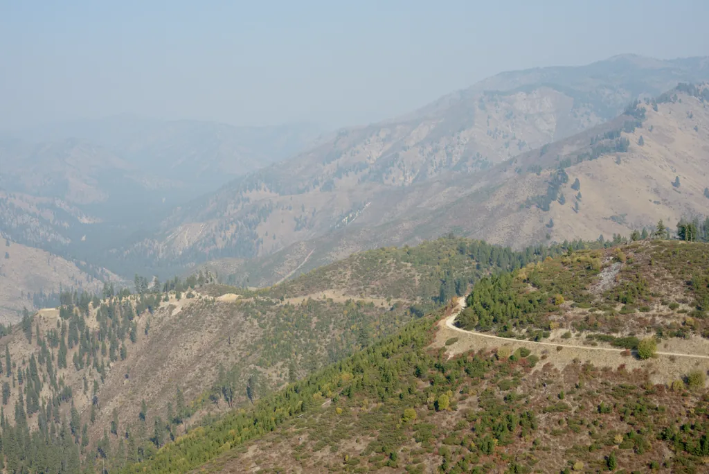 Archie Creek Road