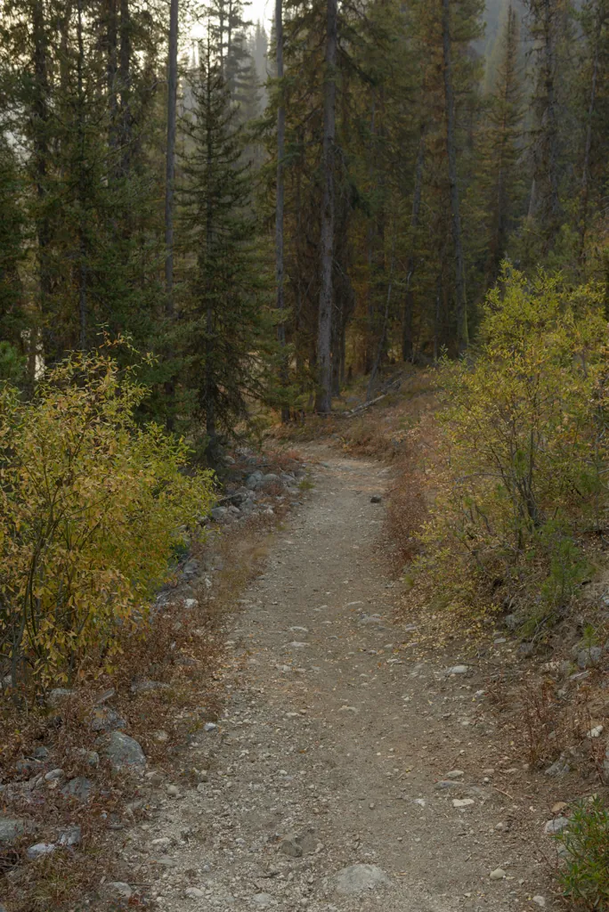 Trail down to the river