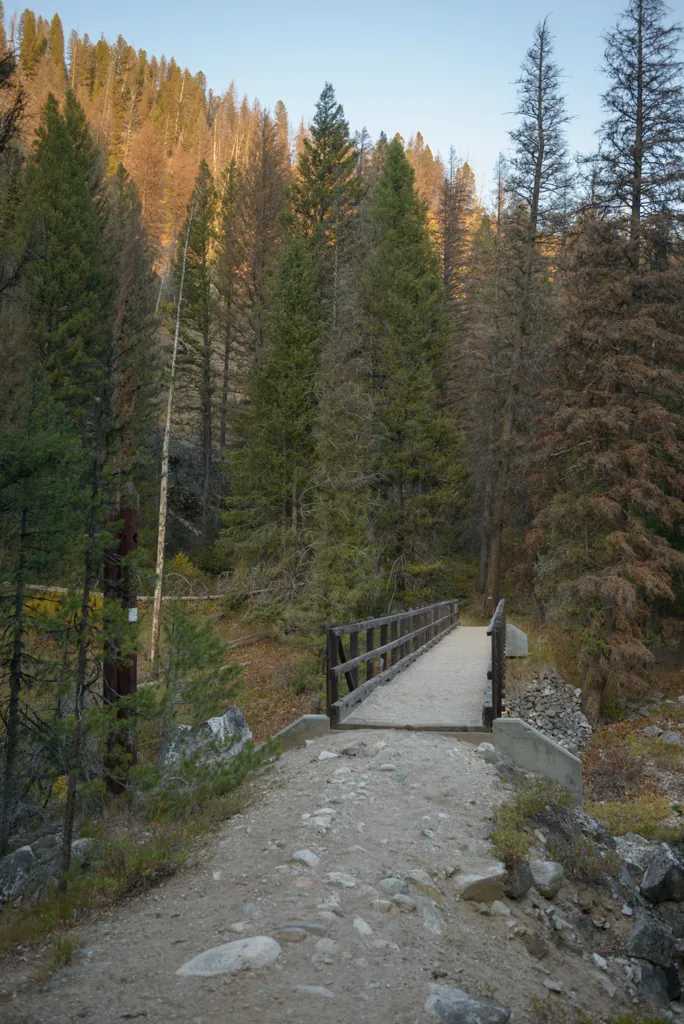 Bridge into wilderness
