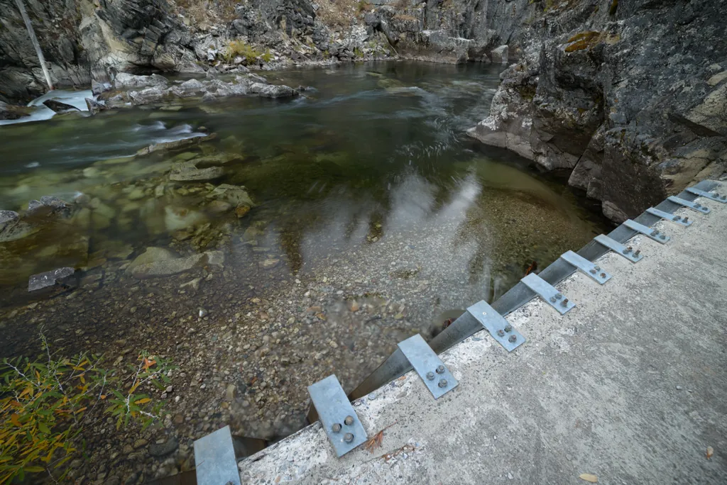 Fishway intake