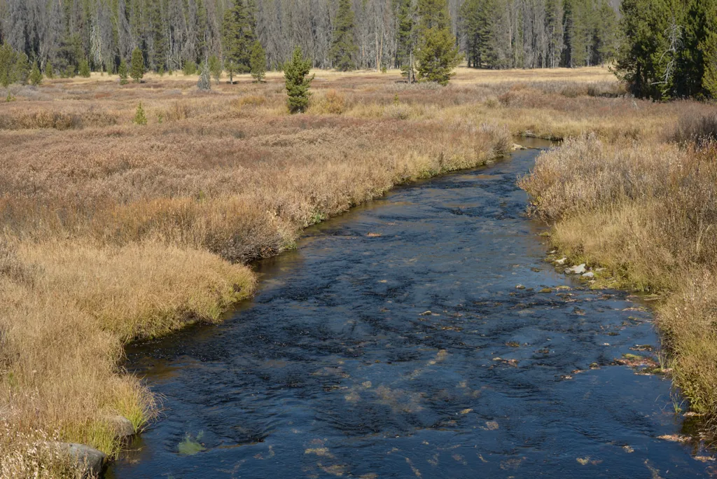 Dark tributary