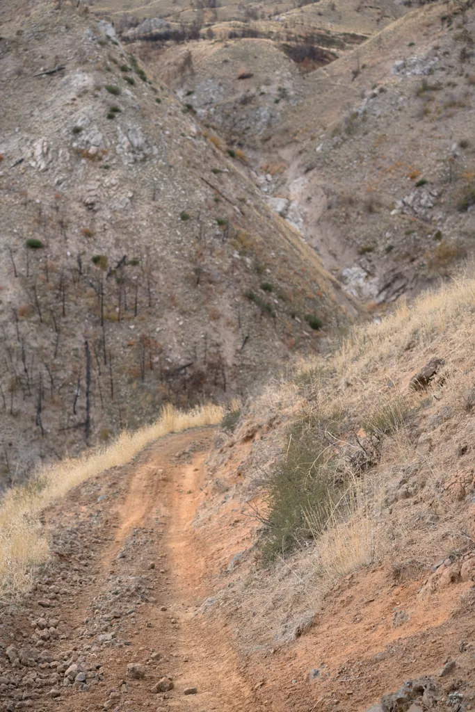 Orange trail