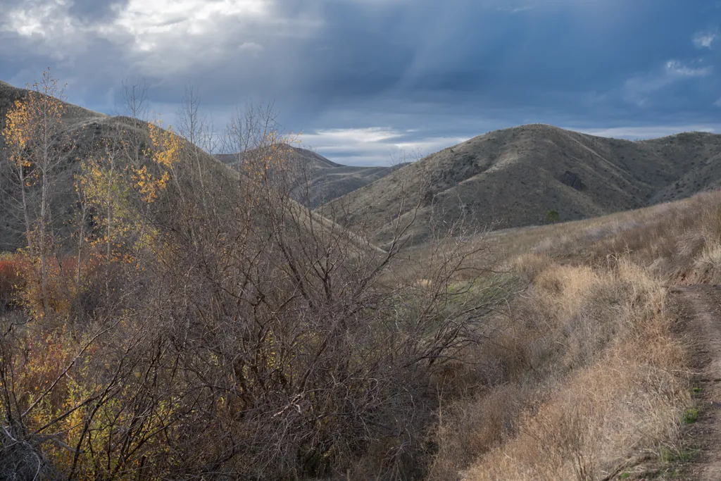 Along Big Horse Creek