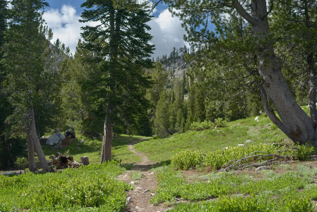 Trail into North Star Lake