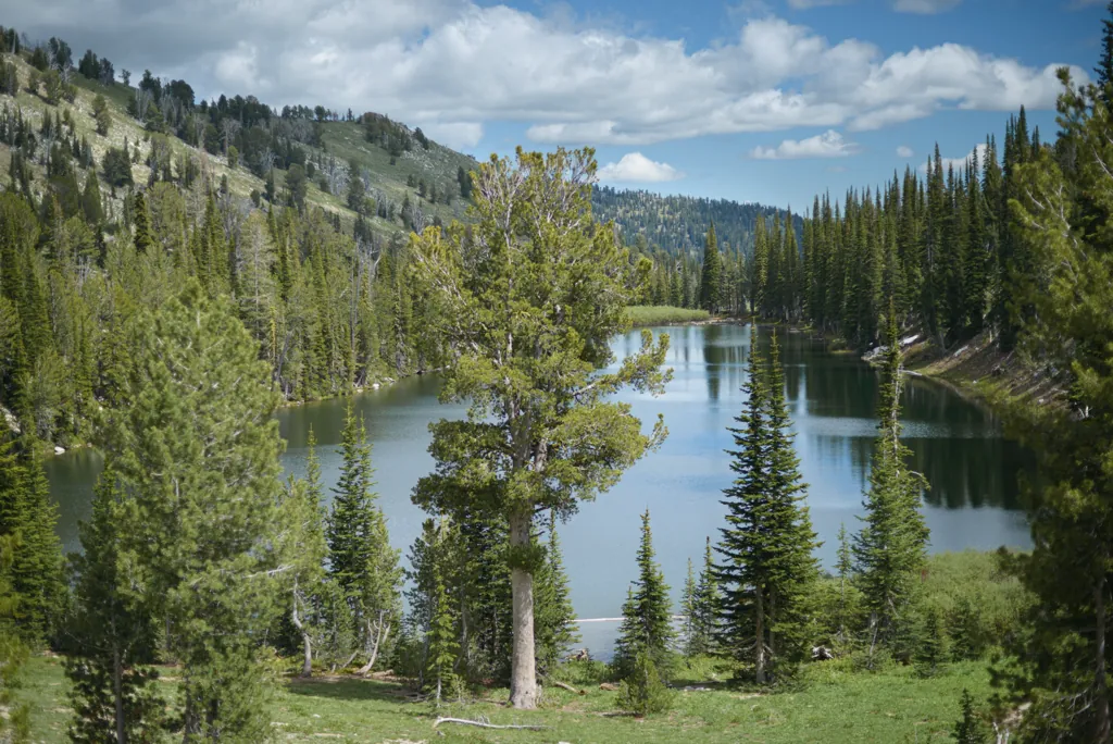 North Star Lake