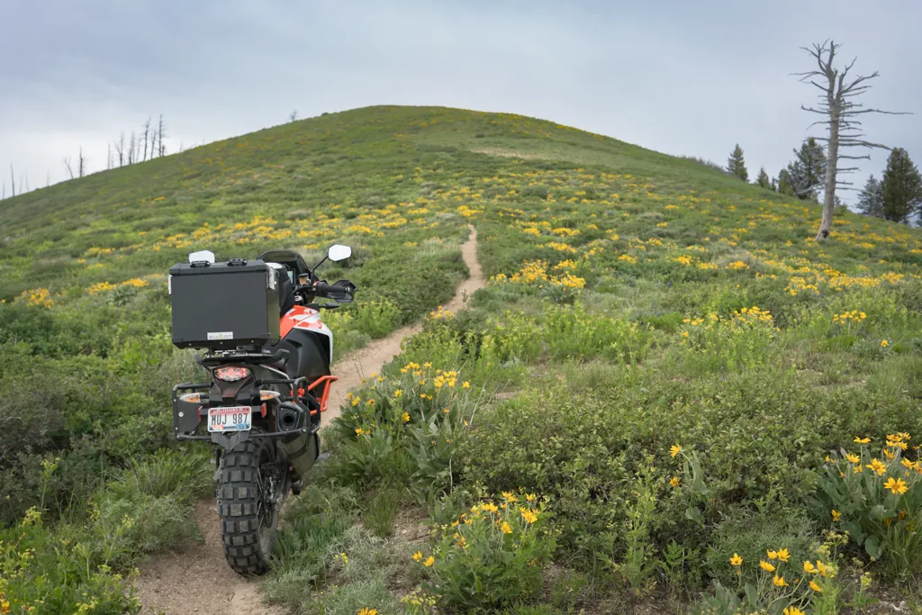 Taking the high road