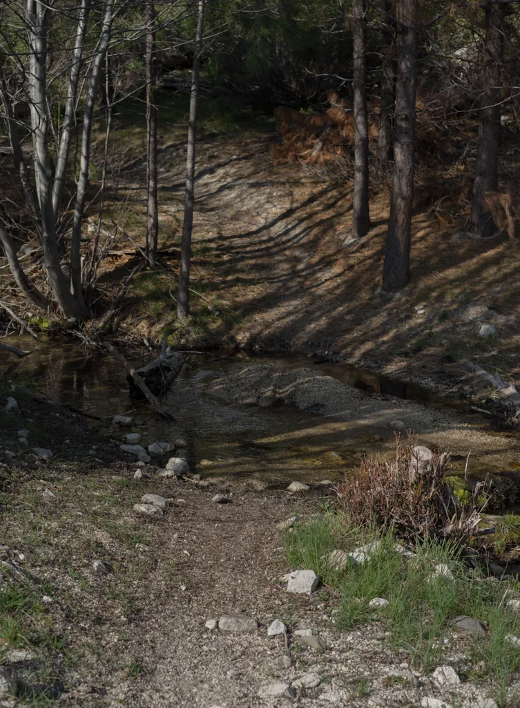 Devil Creek trailhead