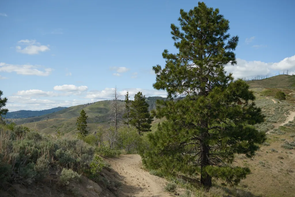 Nearing the ridge