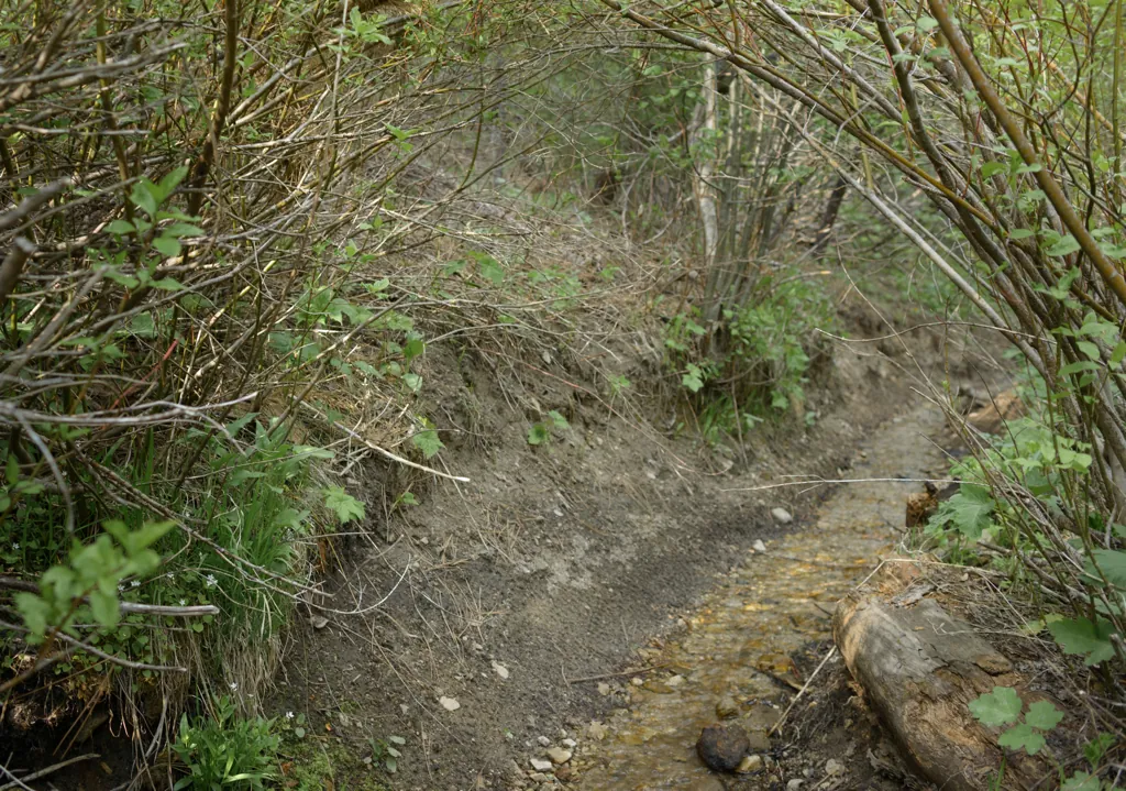 Robie Creek headwaters