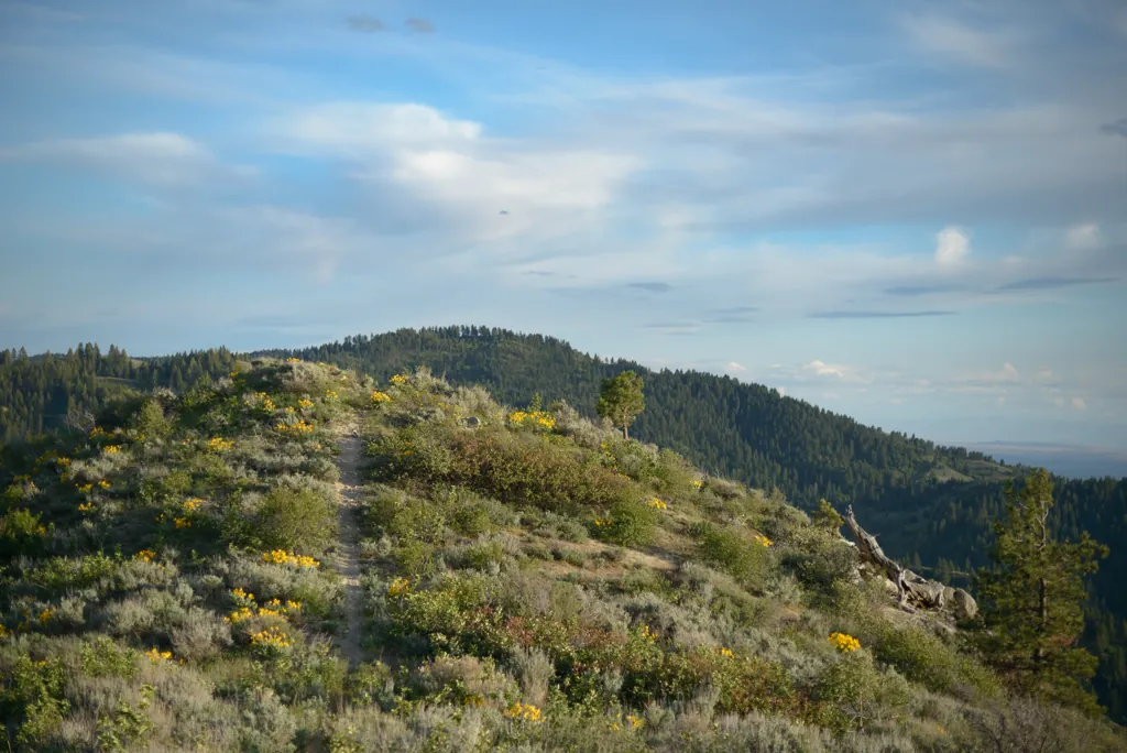 Mars hill