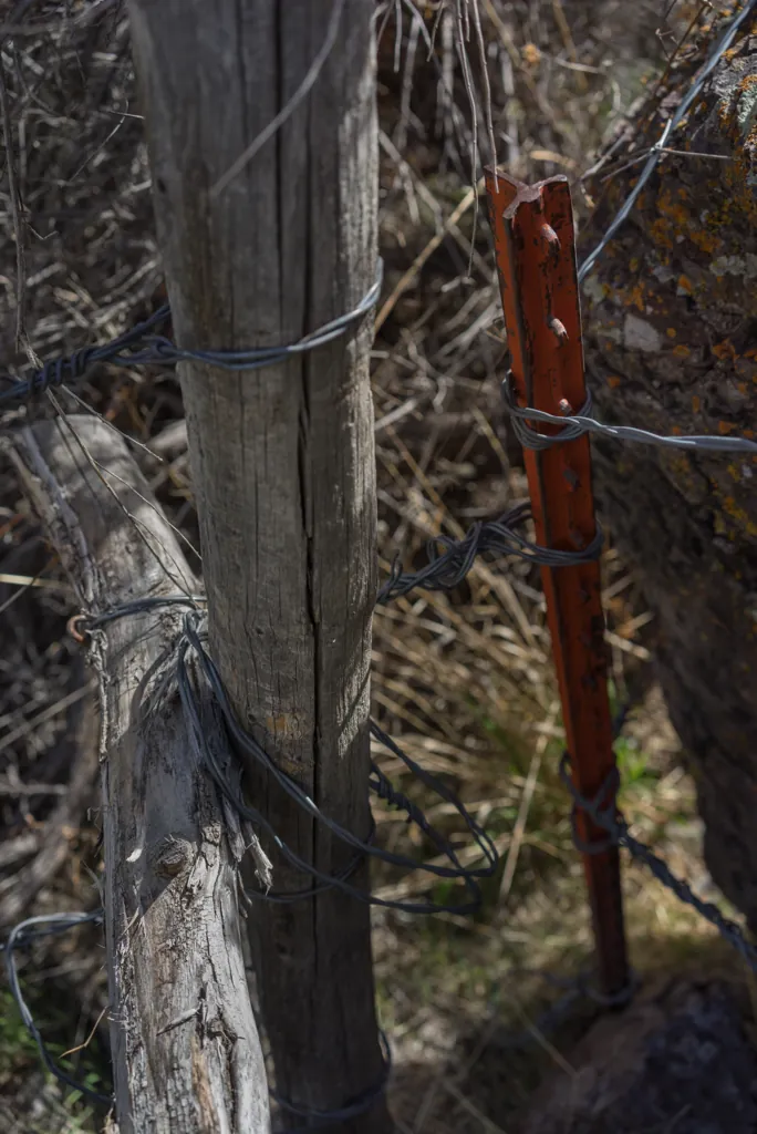 Wire gate