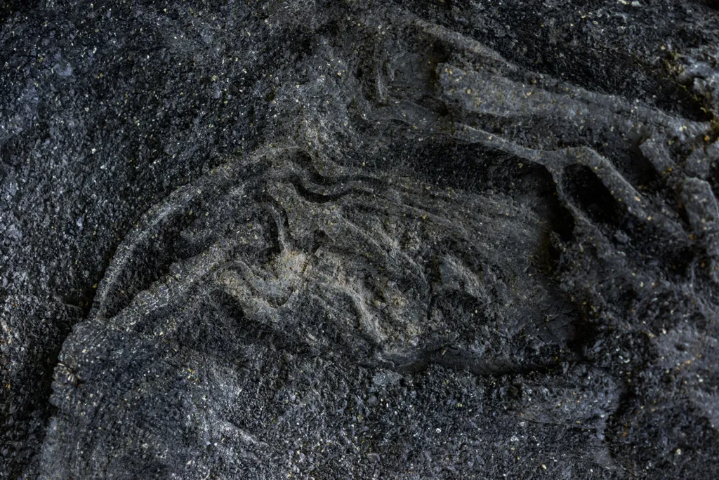 Prehistoric alphabet