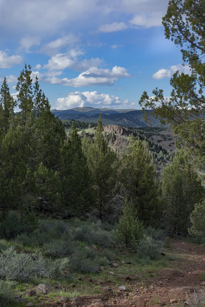Descent to Jordan Creek
