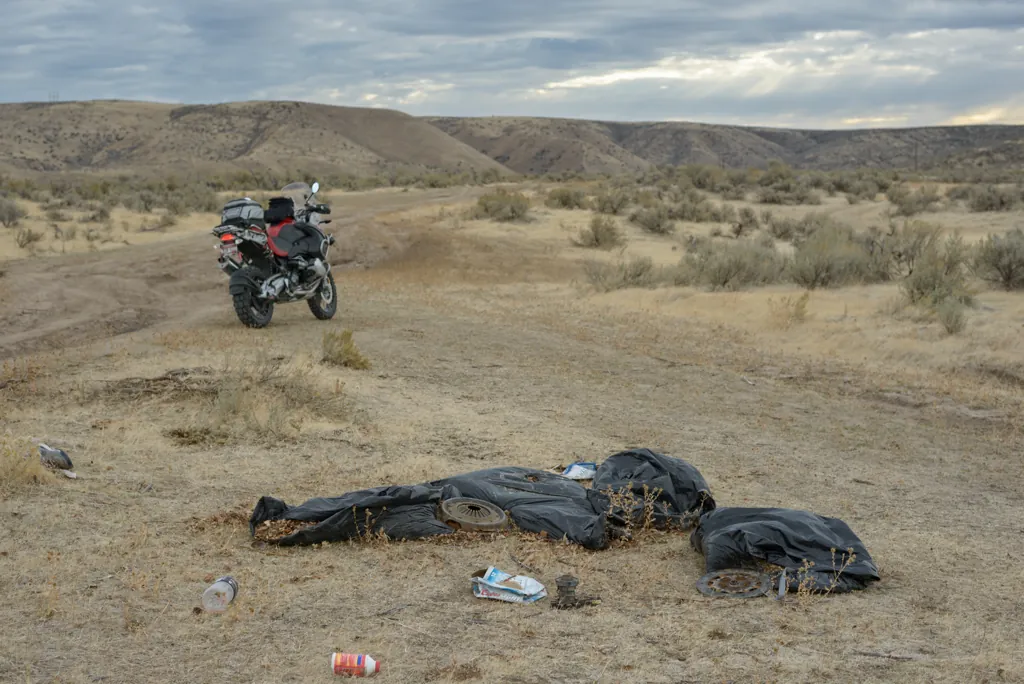 Littering immigrants