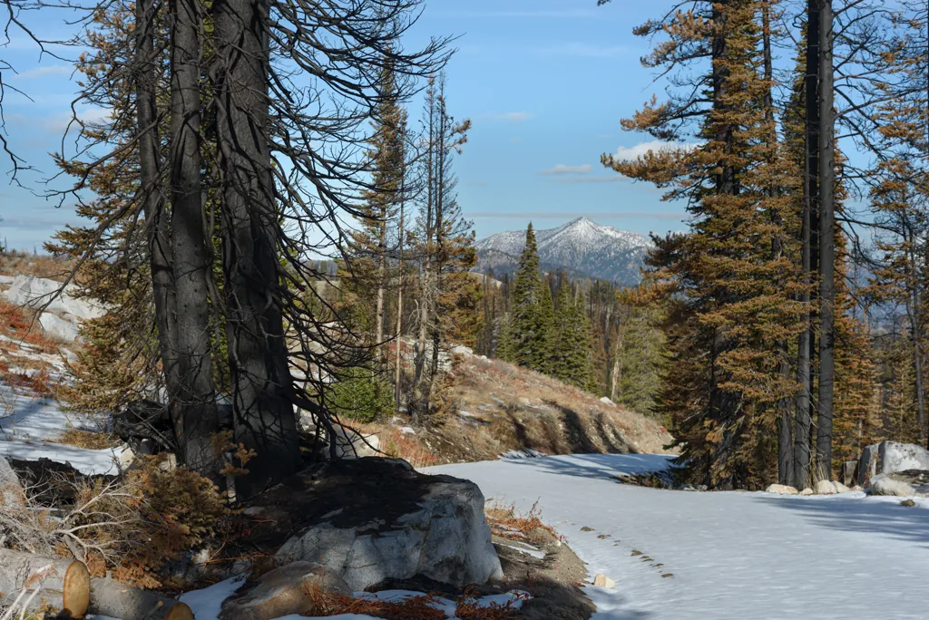 Winding north on Trinity Ridge