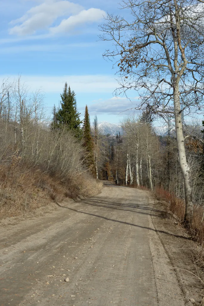 Late autumn ridge road